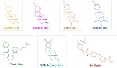 Anti-Hepatocellular Carcinoma Effect and Molecular Mechanism of the Estrogen Signaling Pathway